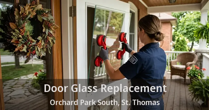 Door Glass Replacement Orchard Park South, St. Thomas - ON