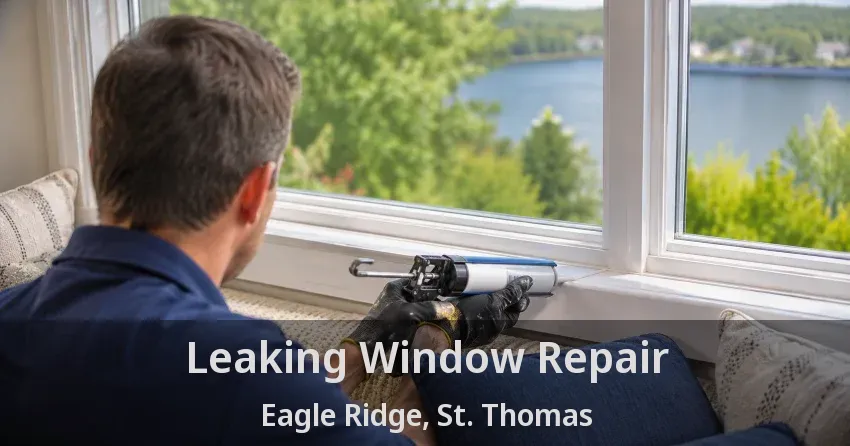 Leaking Window Repair Eagle Ridge, St. Thomas - ON