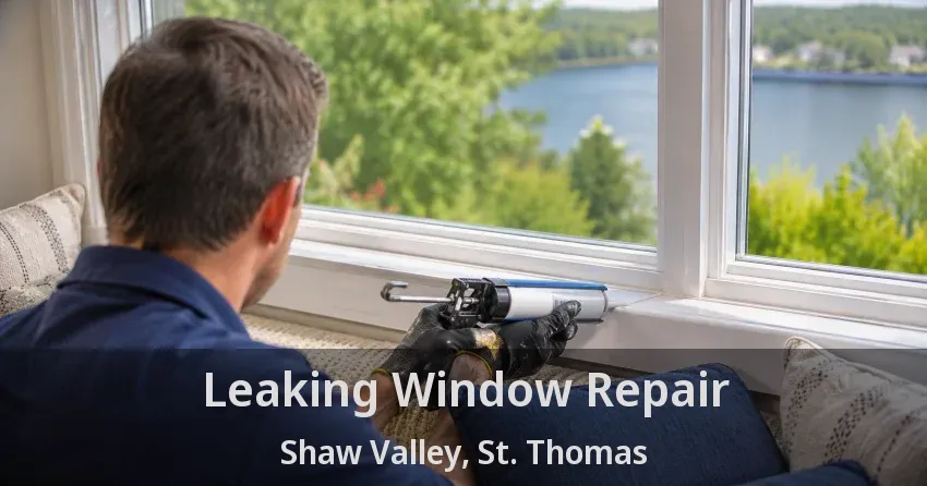 Leaking Window Repair Shaw Valley, St. Thomas - ON