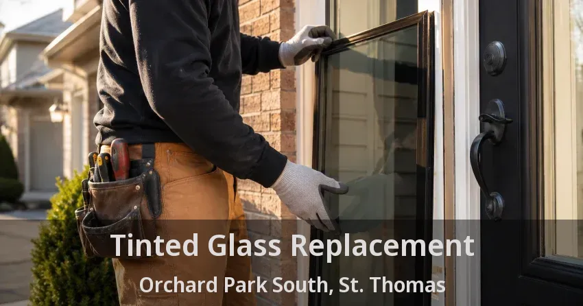 Tinted Glass Replacement Orchard Park South, St. Thomas - ON
