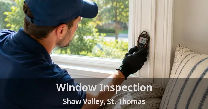 Window Inspection Shaw Valley, St. Thomas - ON